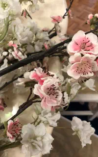 شکوفه های صورتی و سفید