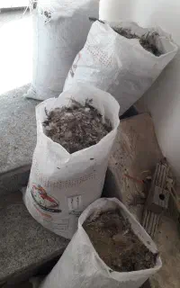 کودحیوانی مرغ وخروس