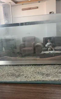 اکواریوم