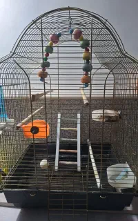 قفس پرنده
