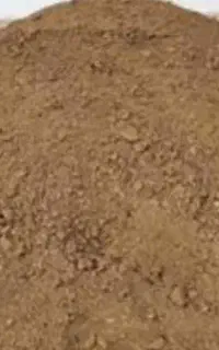 کود گوسفندی وگاوی