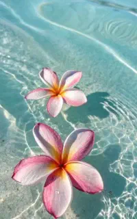 تایپ ،پاورپوینت با توجه به موضوع شما