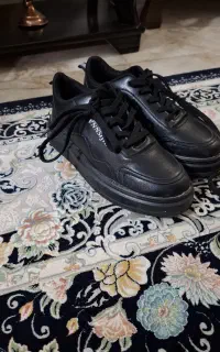 یک جفت کفش نونو