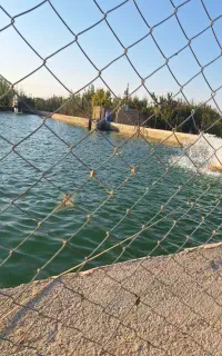 اجاره استخر جهت پرورش ماهی قزل‌آلا