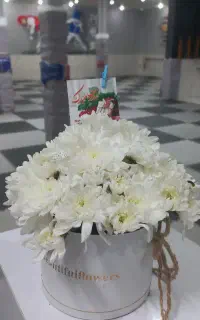 کلاس ایروفیت بانوان