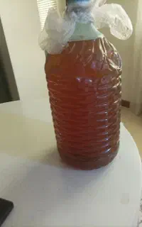 سلام فروش سرکه سیب
