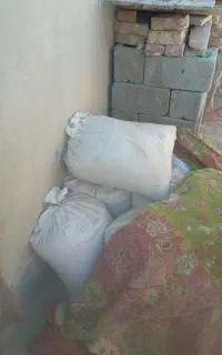 گندم وکاه