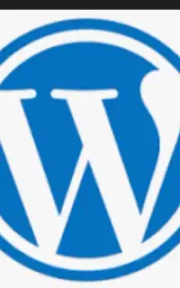 طراح وب‌سایت وردپرس