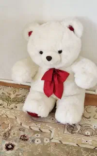 خرس سفید آکبند