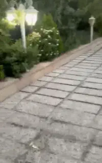 راهنمایی برای کار با خانواده برای ویلا موجه