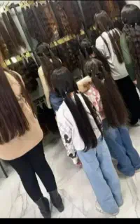 تنوع و زیبای وفروش  را با ما تجربه کنید