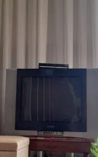 تلوزیون