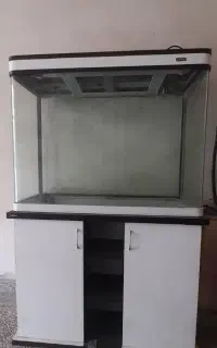 اکواریوم