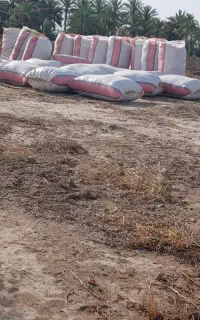 کاه نرم