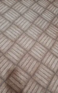 یک موکت ۱۲متری  یک ۶متری هردو پالاز موکت