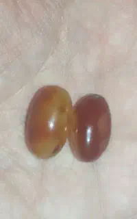 مهره نایاب دوره ایلخانی