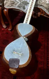 تار با قیمت ‌مناسب و منصفانه