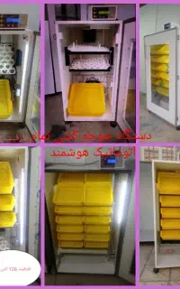 دستگاه جوجه کشی تمام اتوماتیک خانگی