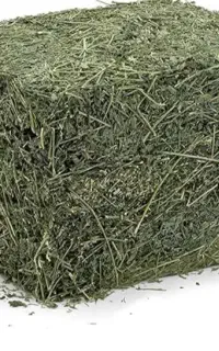 پرس یونجه