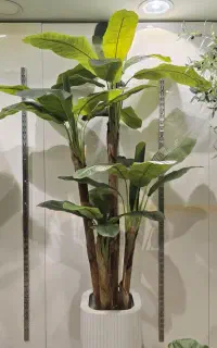 درختچه مصنوعی لمسی پرنده بهشتی ، موز ، لیراتا