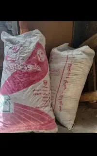 چهارکیسه کودکبوتردونه 250