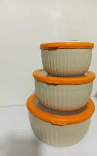ظرف غذا