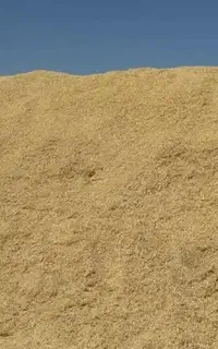 فروش کاه نخود