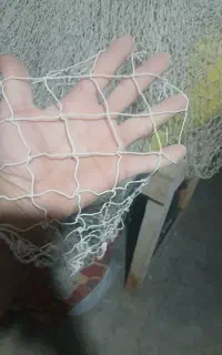 تور ماهیگیری