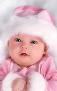 درخواست رحم اجاره ای بدون رابط