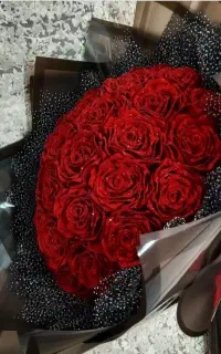 گل روبانی
