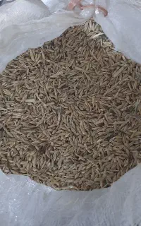جو محلی با کیفیت