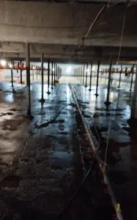 نیروی کار جهت کار در مرغداری گوشتی