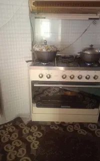 گاز فر دار