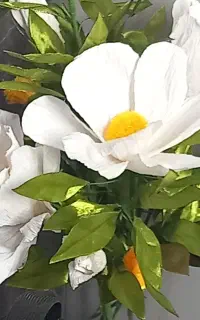 گل های زیبای تزینی با کاغذ کشی و روبان