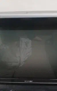 تلویزون