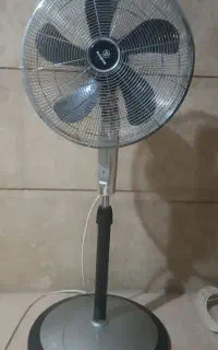 پایه بلند تروتمیز سالم سالم