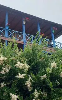 همکاری در مجموعه ویلایی دهکده زیبا
