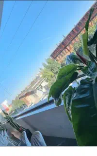 اجاره تجاری / ساری / سالن فلت / روف گاردن