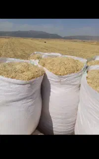 خریدار کاه گندم