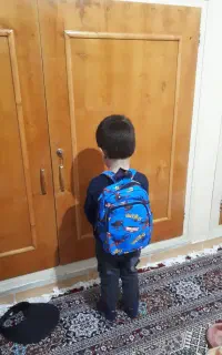 پیش دبستانی معرفی کنید