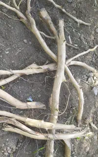 10نفر کارگر ساده