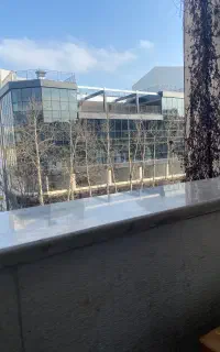 سئو سایت آی تی