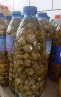 ترشی سپسون