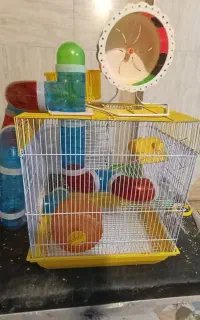 قفس و چرخ و فلک و خونه و تونل همستر