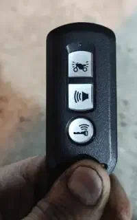 پیدا شده