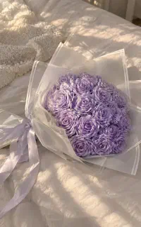 گل یاسی شاین دار