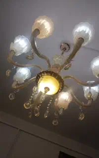 دو عددلوستر