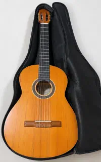 گیتار