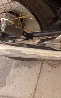 اگزوز کوشا خوش صدا