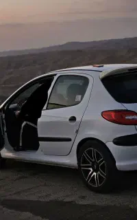 ۲۰۶ تیوفایو